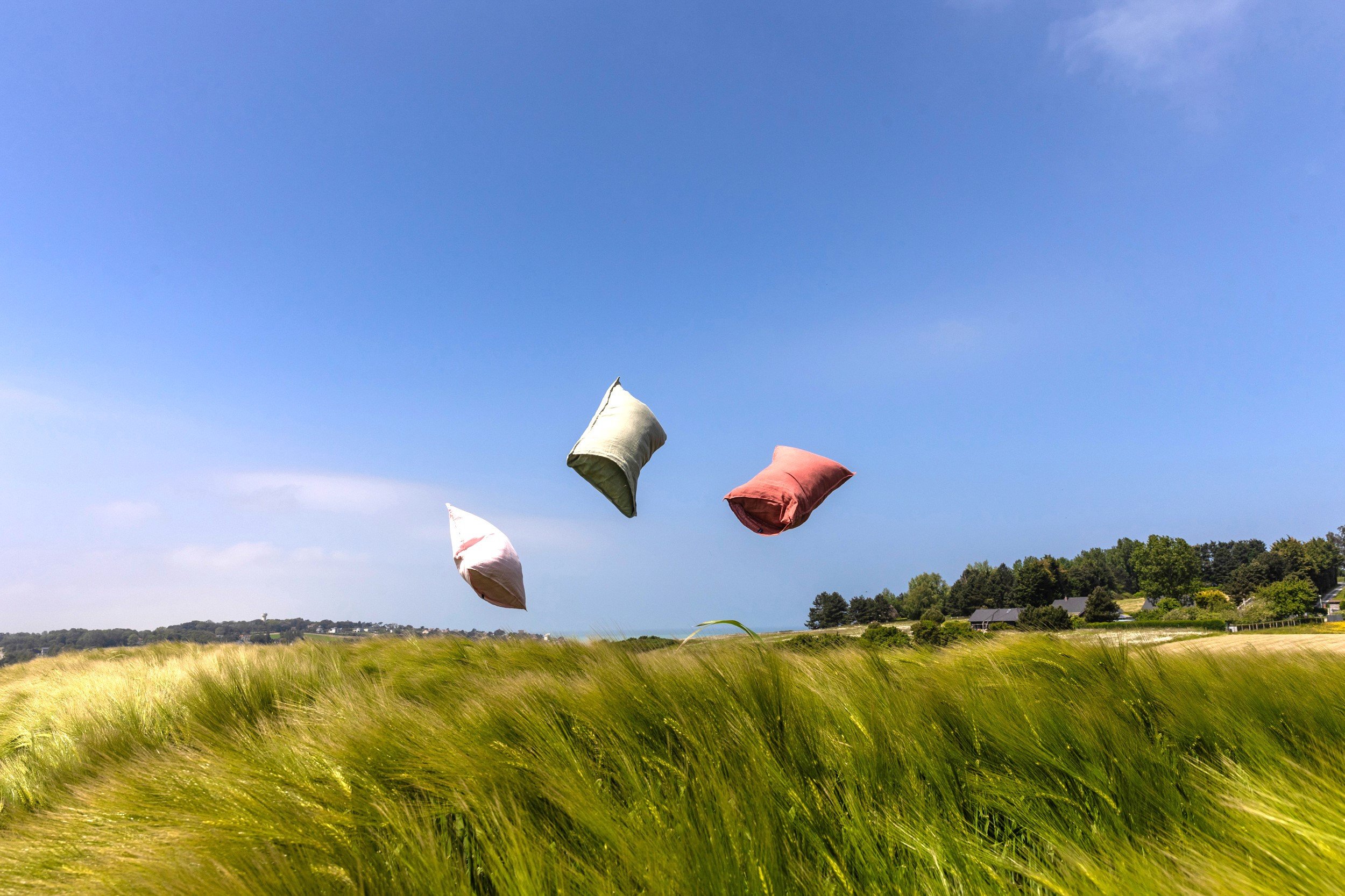 Trois coussins colorés volent au-dessus d'un champs ensoleillé sous un ciel bleu clair.