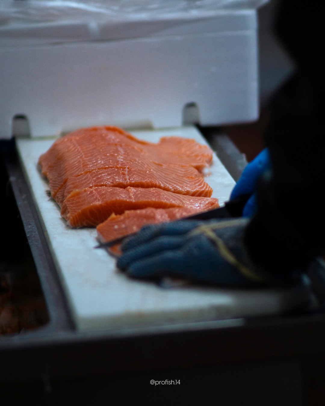 Tranche de saumon frais sur une planche à découper, avec une main gantée préparant le poisson.